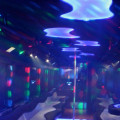 Everything You Need to Know About Renting a Party Bus